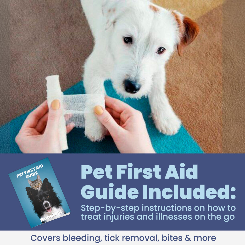 Dog with a bandage on its paw, held by a person, with a pet first aid guide in the foreground.