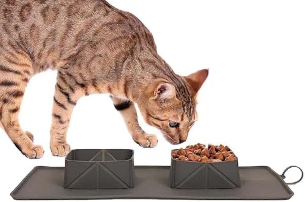 Cat eating from a raised food bowl on a mat with a white background