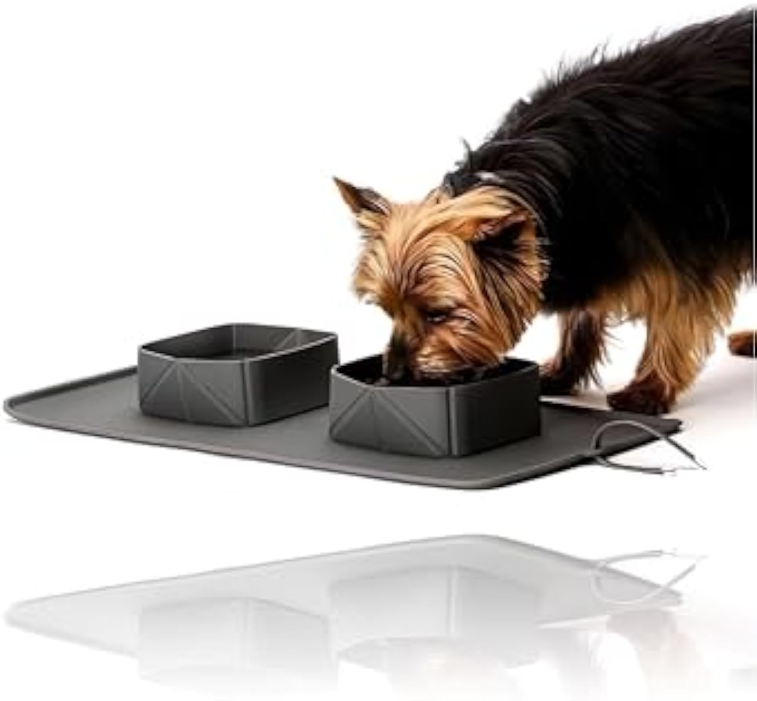 Dog drinking from a black bowl on a gray mat with another bowl beside it.