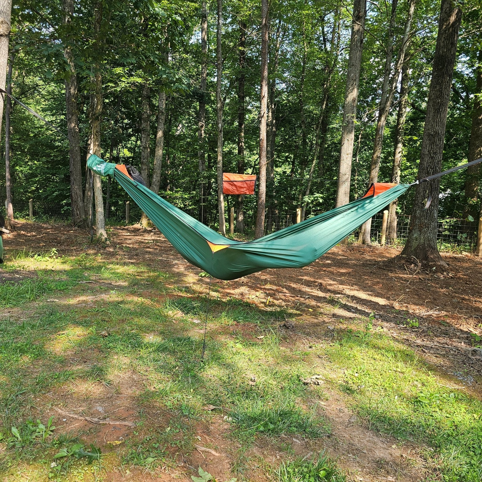 Green hammock hanging between trees in a forest