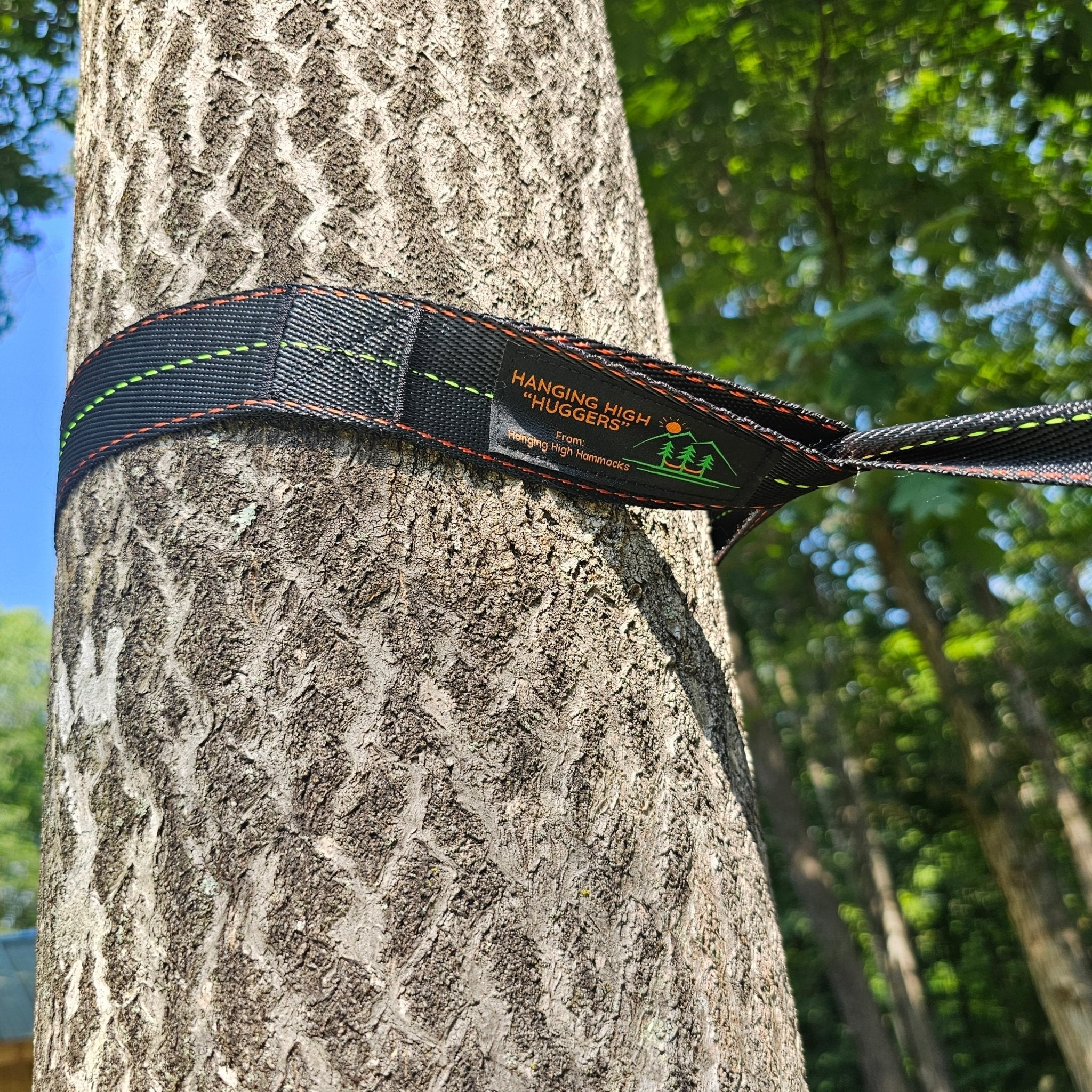 Tree strap labeled 'Hanging High Huggers' wrapped around a tree trunk with a forest background.